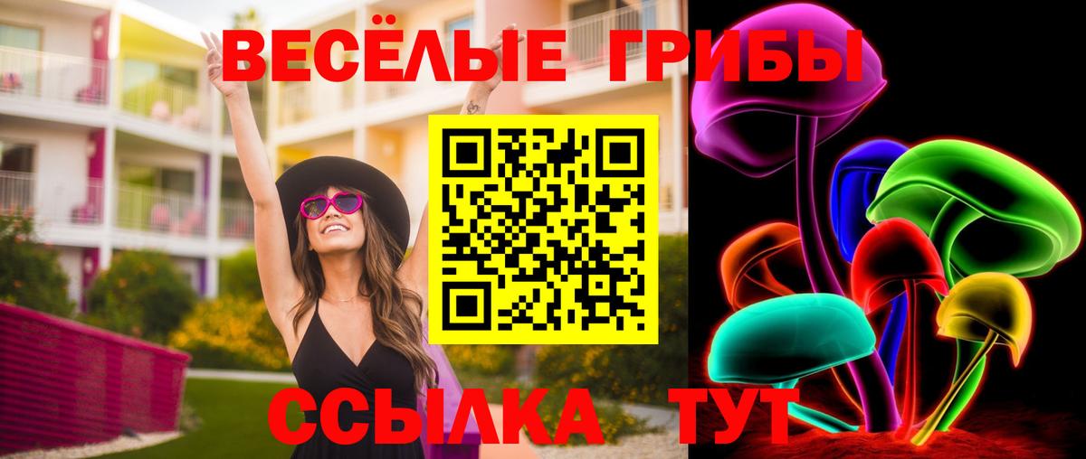 Галлюциногенные грибы GOLDEN TEACHER  Вход с VPN  Ефремов 
